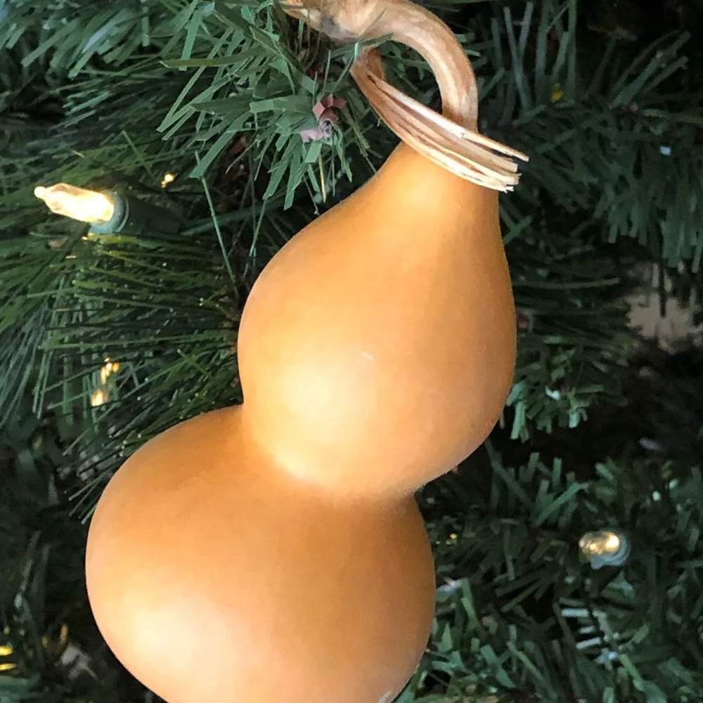 Natural Brown Decorative Gourd Accent - Brand Unbranded